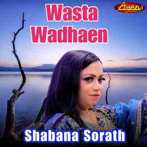 Wasta Wadhaen