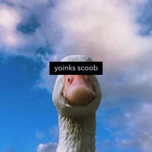 yoinks scoob