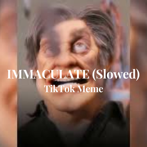 IMMACULATE (Slowed) TikTok Meme