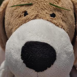 初雪（prod by Meecro）