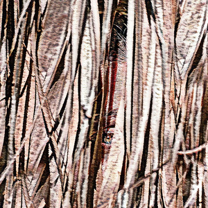 Scraping Superalloy Flashing
