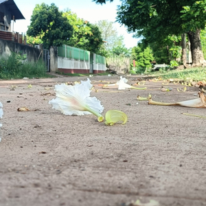 แรงบันดาลใจ