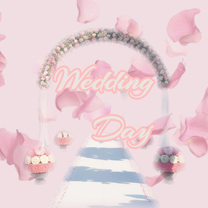 Wedding Day