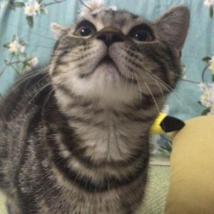 坠溺 (Prod by ATTBeat)