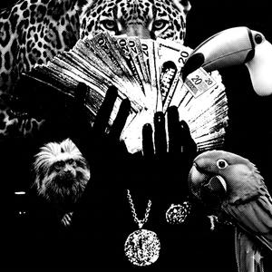 FAUNA
