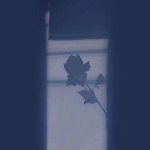 再一次(2022版）