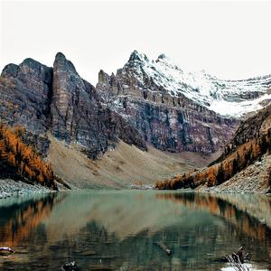 Pastoral (feat. Polina Chornaya)