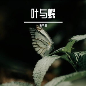 叶与蝶