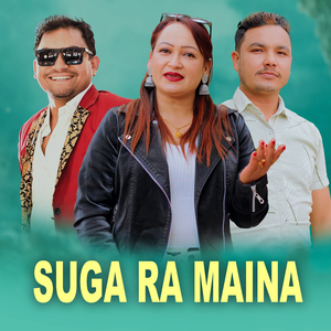 Suga Ra Maina