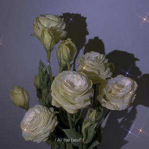 想变成一切美好的事物（翻自 谭松韵）