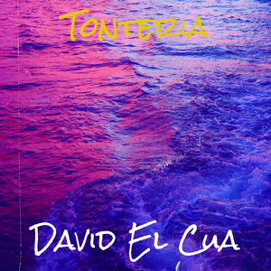 Tonteria