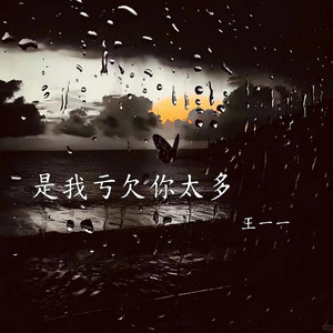是我亏欠你太多