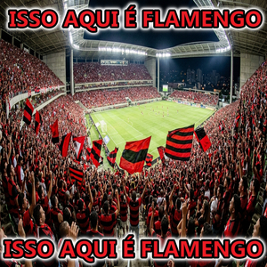 ISSO AQUI É FLAMENGO