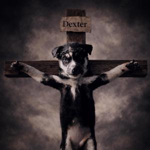 Dexter