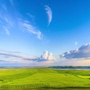 我是猪八戒，不是啸天犬