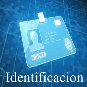 Identificacion