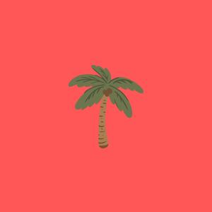 Coconut Tree