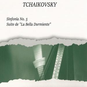 Symphony No. 5 in E Minor, Op. 64: II. Andante cantabile con alcuna licenza