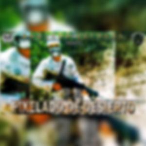 Pixelado de Desierto