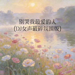 别哭我最爱的人(DJ女声破碎氛围版)