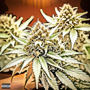 Kannabis (Remastered)