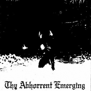 Entering the Forest of Old Wisdom