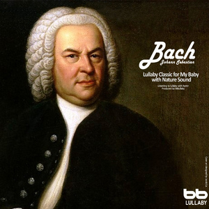 Bach- Brandenburg Concerto No.5 In D Major BWV 1050 - II. Affettoso (With Wave Sound)