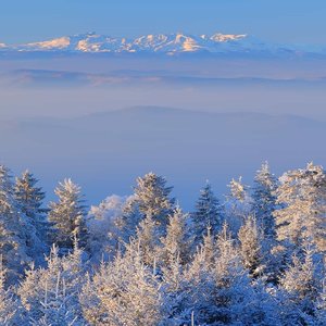 热爱105°C的你 星星点燃