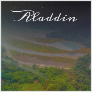 She Fought Like a Tiger