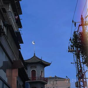 你来到我生命之后