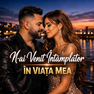 N-ai Venit Întâmplător În Viața Mea