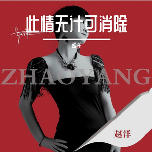 此情无计可消除