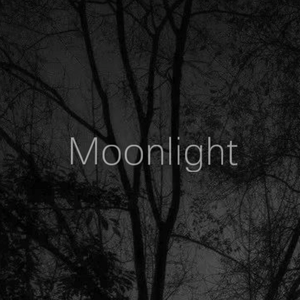 Moonlight
