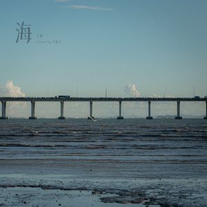 海