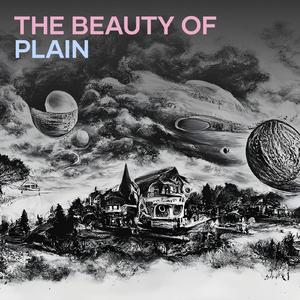 The Beauty of Plain