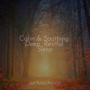 Spectral Echoes in Stillness