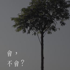 会不会？（gray）