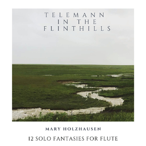 Fantasy No. 4 in B-Flat Major: II. Allegro
