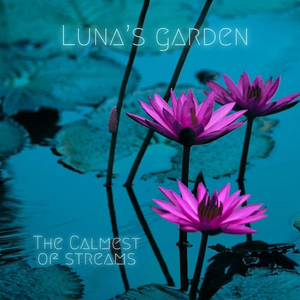 The Calmest of Streams