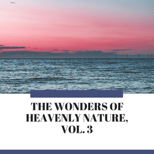 Sleeping by the Ocean