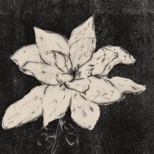 栀子花
