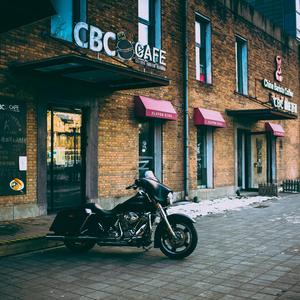 杜秋，我们一起跳吧 - 黑生鱼（芥末膏）原创电子音乐