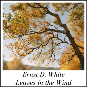 Leaves in the Wind