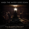 ETSU Bluegrass Pride Band - When the Water Goes Down