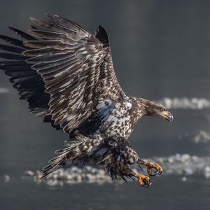 像暗杀似的绕到背后突然拥抱你