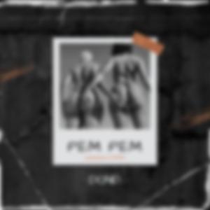 PEM PEM
