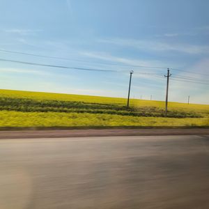 Если жить