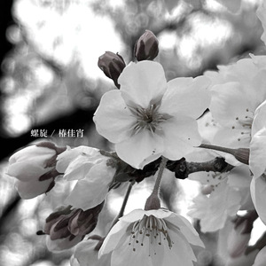 螺旋 (single ver.)