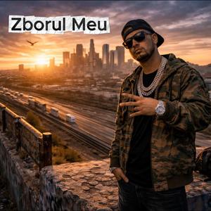 Zborul Meu