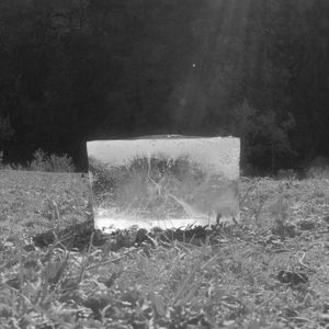 Drowning of the Migratory Birds（候鸟的溺亡）（Demo）